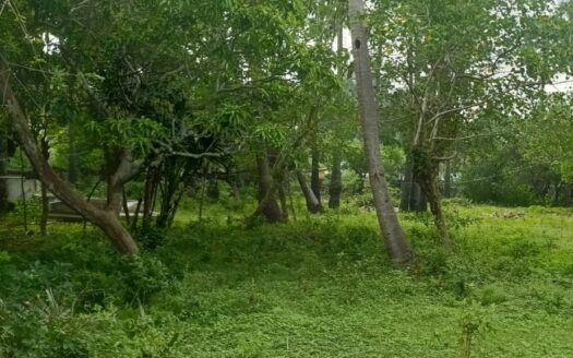 Οικόπεδο 208τ.μ. στον Γέρακα